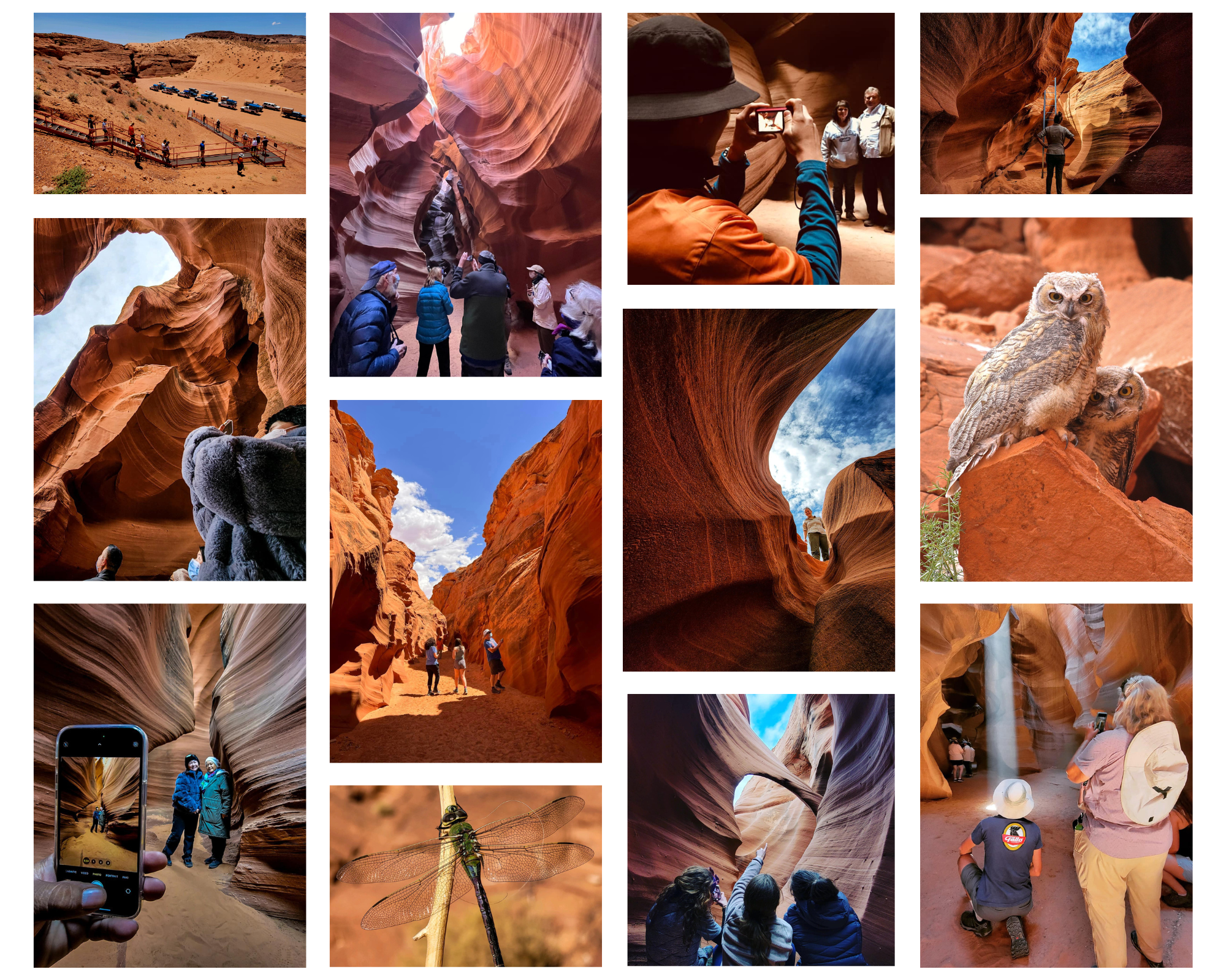 Red & Teal Aesthetic Bright Photographic Grid Photo Collage