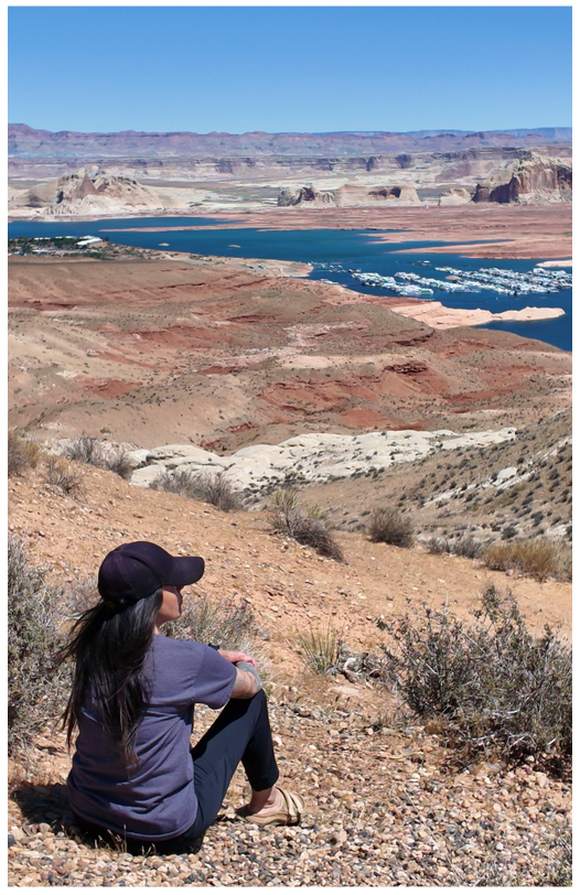 Person sitting on a hill overlooking a lake with desert landscape.
