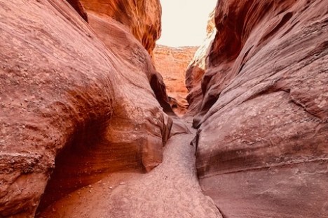 Narrow red rock canyon with sandy path and sunlight above.