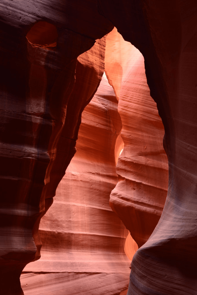 Sunlight illuminating smooth, wavy sandstone walls in a narrow canyon.
