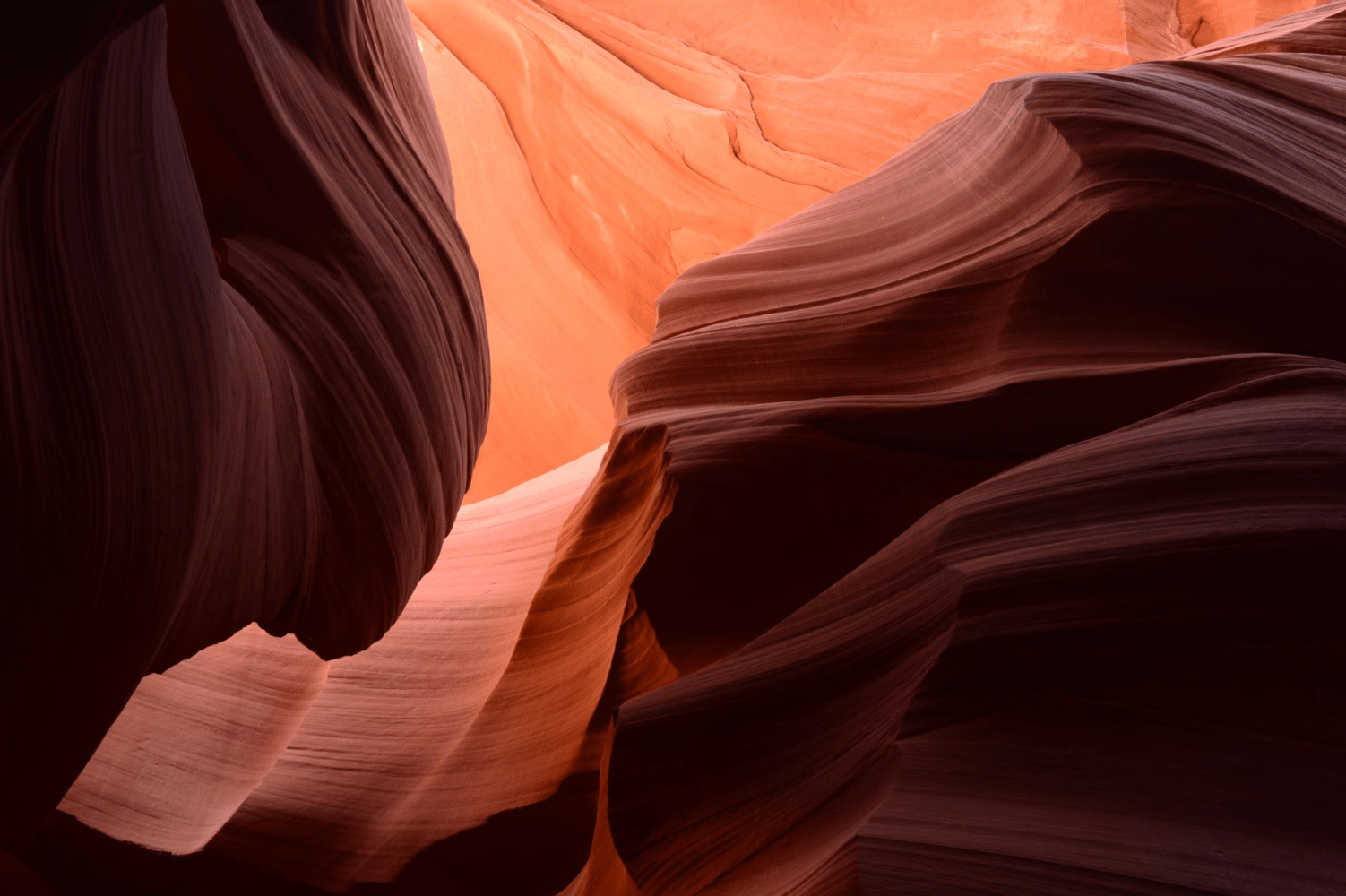 Sunlit curves of red rock formations in a canyon.